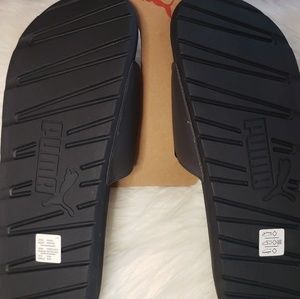 cool cat sport v slides
